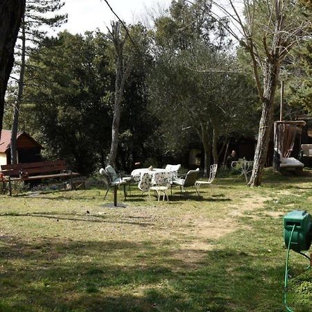 Mdq - Azienda Agricola Lägenhet Castiglione dʼOrcia Exteriör bild