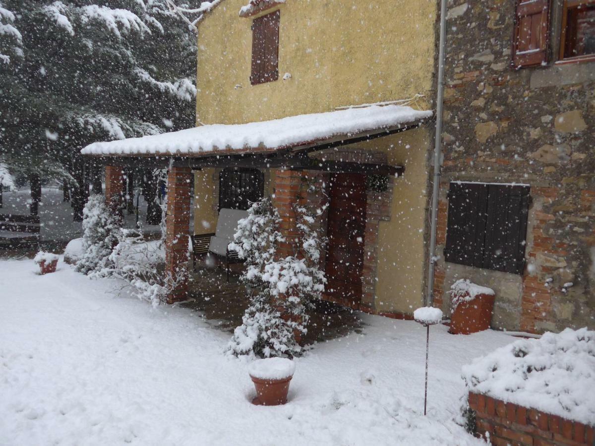 Mdq - Azienda Agricola Lägenhet Castiglione dʼOrcia Exteriör bild