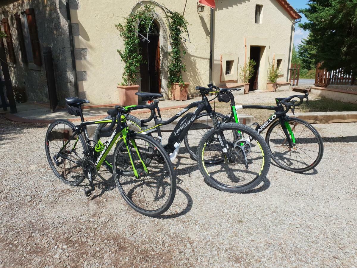 Mdq - Azienda Agricola Lägenhet Castiglione dʼOrcia Exteriör bild