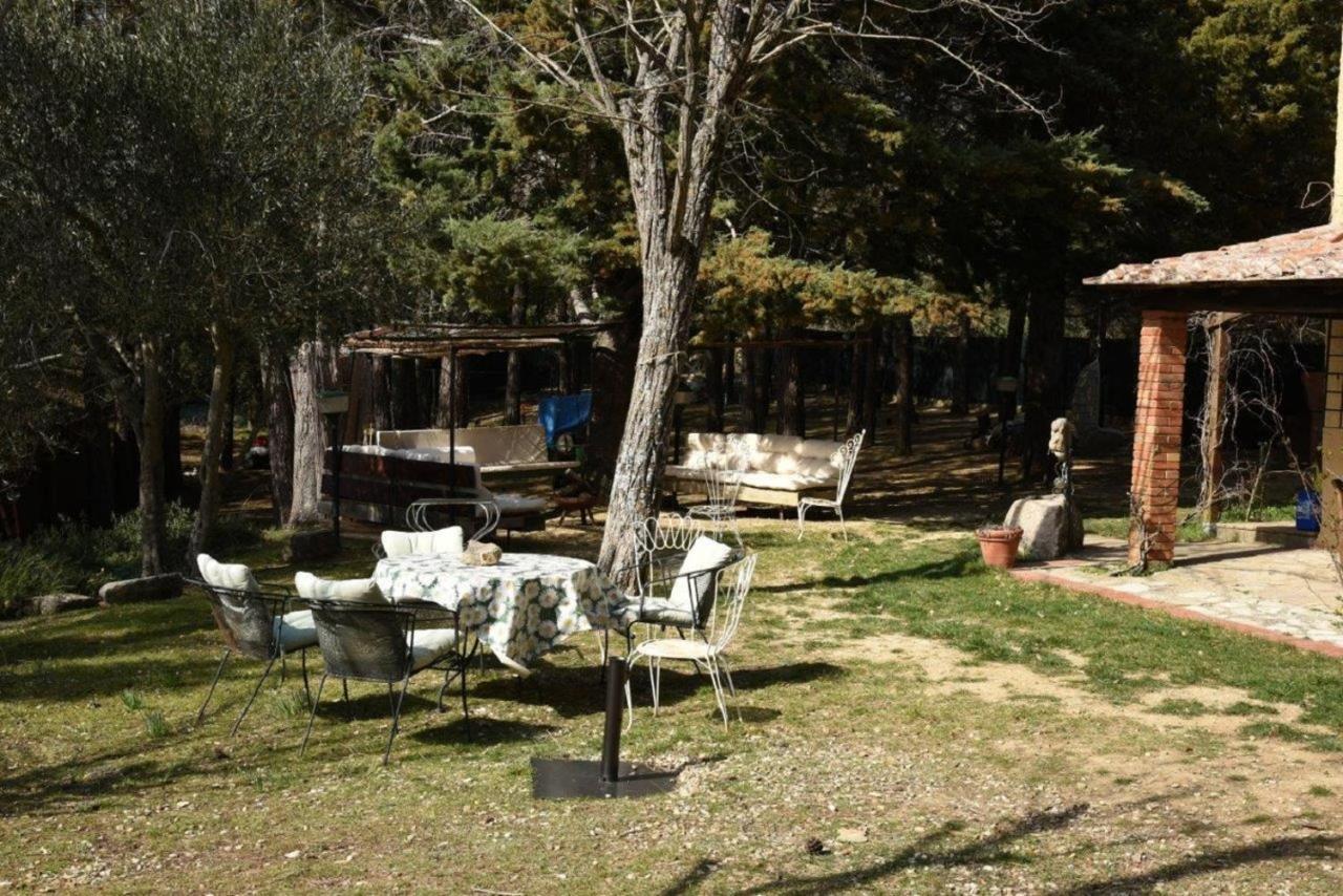 Mdq - Azienda Agricola Lägenhet Castiglione dʼOrcia Exteriör bild